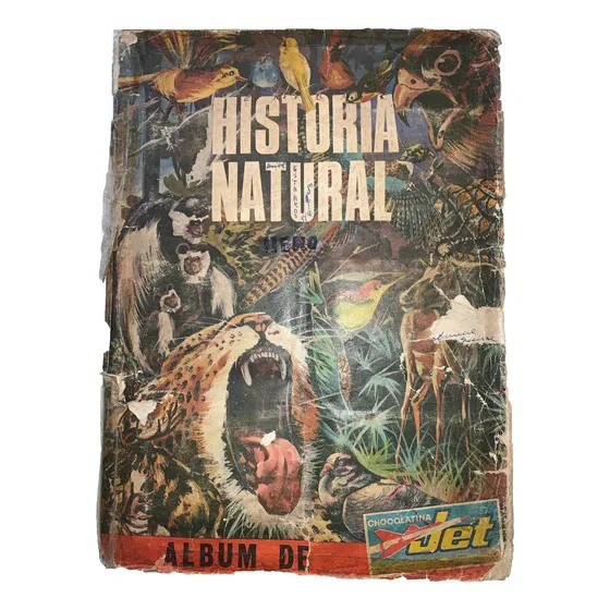 Historia, Monas, Mama, Laminas, Cromas, Jet, Lleno, Retro