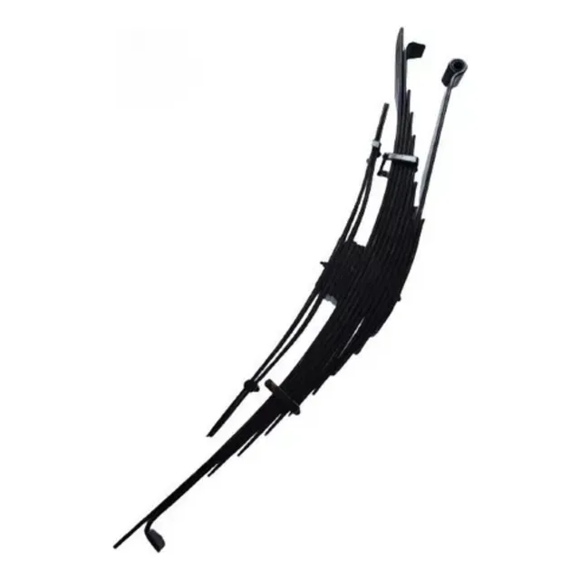 Ballesta Trasera Ford Cargo 1721 99-12 (chasis Largo)