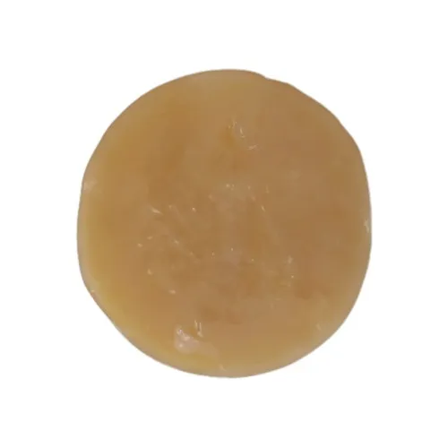 Kombucha Scoby + Te De Inicio
