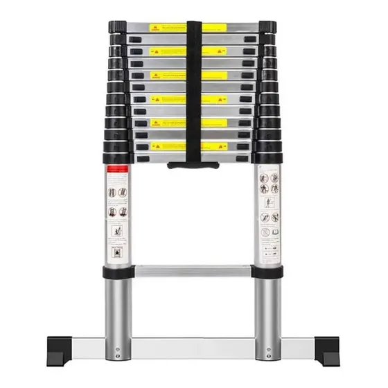 Escalera Telescópica 3.2 Metros Retractil Homex Color Plateado