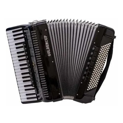 Acordeon Goldencup 41 Teclas 120 Bajos 11+7+1 Registro Negro