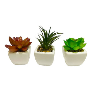 3 Vasos De Ceramica Com Mini Suculentas Plantas Artificiais 3 Vasos De Ceramica Com Mini Suculentas Plantas Artificiais