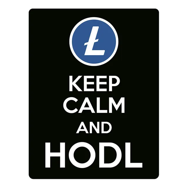 Kit 10 Placa Decoraçao - Keep Calm Hodl Hold Litecoin Ltc