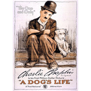 Poster Grande Charlie Chaplin 60cmx84cm Cartaz Filme Cinema