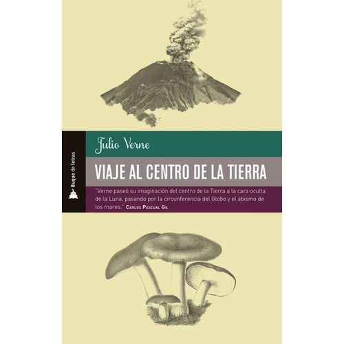 Viaje al centro de la Tierra, de Verne, Julio. Editorial Selector, tapa pasta blanda, edición 1 en español, 2019