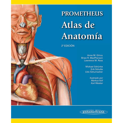 Atlas De Anatomía Humana( Libro Y Original)