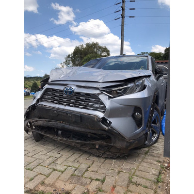 Toyota Rav4 Hybrid 2019 Forro Tapete Carpet Teto Porta Luvas