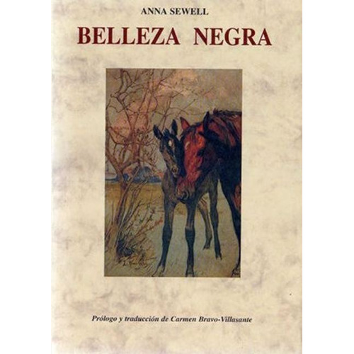 Belleza Negra