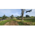 Venta Parcela Robles De Pilauco Osorno (127903)
