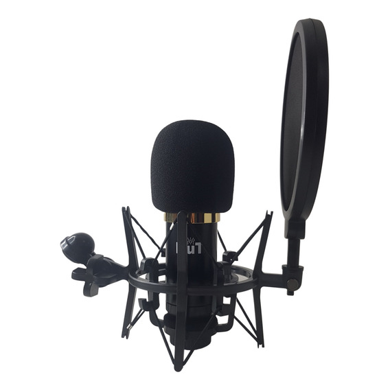 Soporte Microfono Bm800 Araña Shock Mount Anti Pop