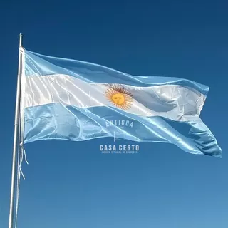 Bandera Argentina De Flameo *170x272cms* - Oficial Reforzada