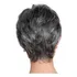 Wigs For Women Natural Hair Style Women's Wig