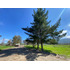 Terreno Plano Con Cerco Y Acceso Proximo Al Rio Claro