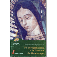 De Peregrinacion A La Basilica De Guadalupe