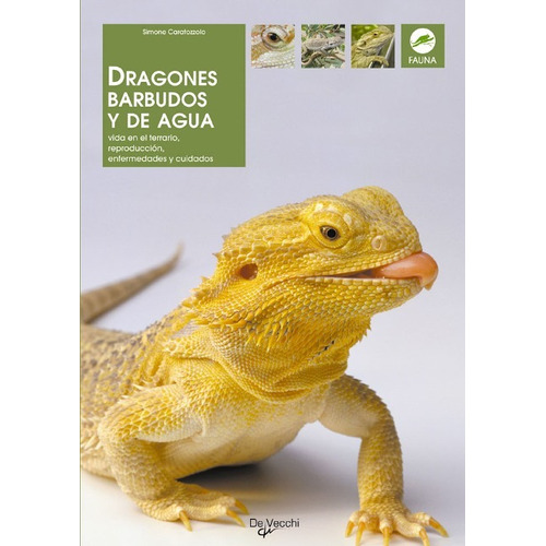 Ved938 Libro - Dragones Barbudos Y De Agua