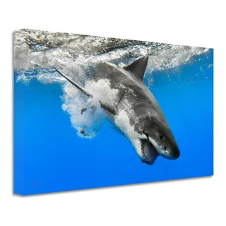 Cuadro Tiburones Océano Canvas Grueso Ctb3 140x90