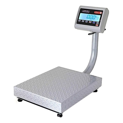 Báscula comercial digital Torrey EQB 100kg con mástil 110V/220V gris 48 cm x 38 cm