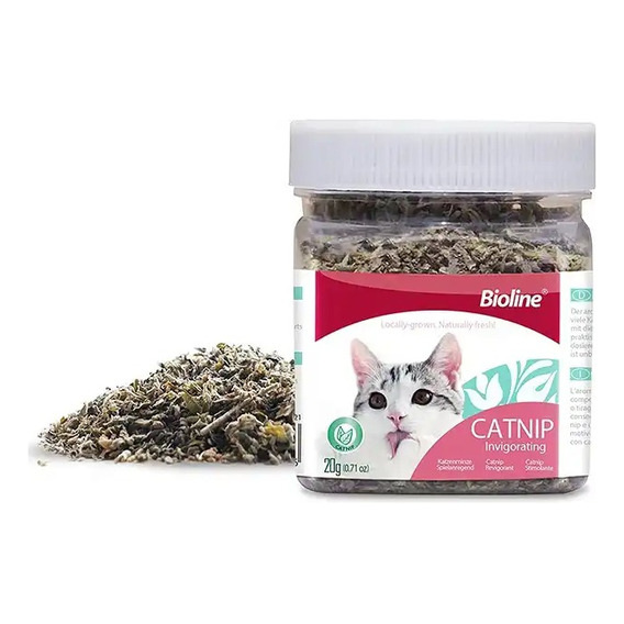 Juguete Gato Hierba Catnip Hoja Gatera Frasco