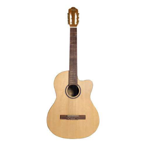Guitarra Clasica Bamboo Gc-39-stage Con Funda 39 Pulgadas