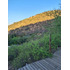 Ideal Segunda Vivienda O Inversión Rural
