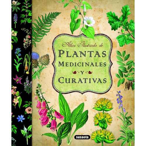 Atlas Ilustrado De Plantas Medicinales Y Curativas