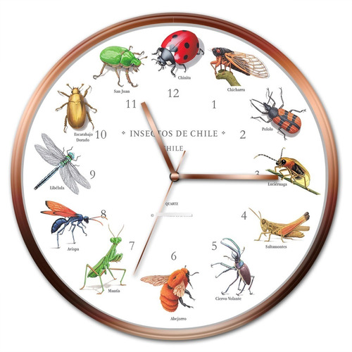 Reloj Pared De Insectos De Chile Color de la estructura Cobre Color del fondo Blanco