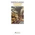 Encrucijadas Jonathan Franzen Salamandra Argentina