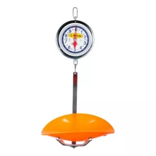 Báscula Colgante Mecánica De Reloj De Cucharón 20kg Color Gris