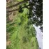 Lote En Villeta Cundinamarca