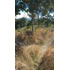 Parcela En Venta En Fresia 7.000.000m2
