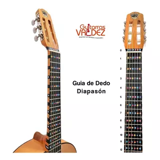 Guia Principiantes Guitarra Escala Notas Diapasón Valdez Color Negro Tamaño Fino