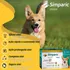 Zoetis Simparic 20mg Perro - Verde oscuro - 1 - 10.1 kg - 20 kg - 1 - Unidad - 1