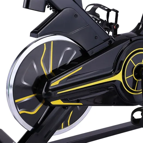 Bike spinning pelegrin sale