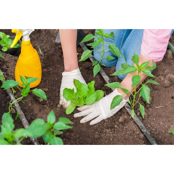 Curso De Jardinero Jardinería Botánica Agricultura Completo