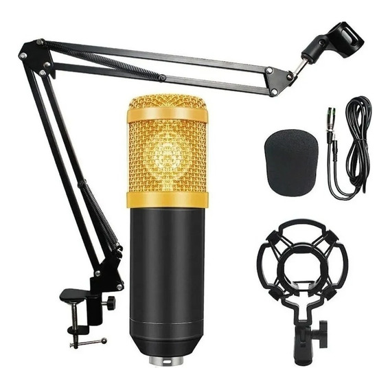Kit Microfono Estudio Profesional Condensador + Brazo / Lhua Color Dorado
