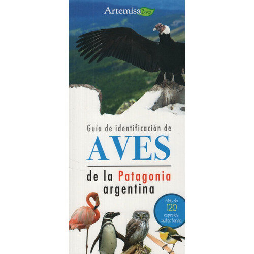 Guia De Identifacion De Aves De La Patagonia Argentina, De No Aplica. Editorial Artemisa, Tapa Blanda En Español