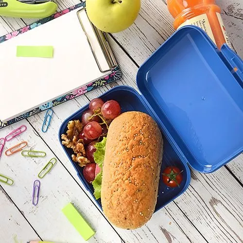 Lonchera Taper Porta Sandwich Lunchbox Fiambrera 600ml Titiz Color Azul