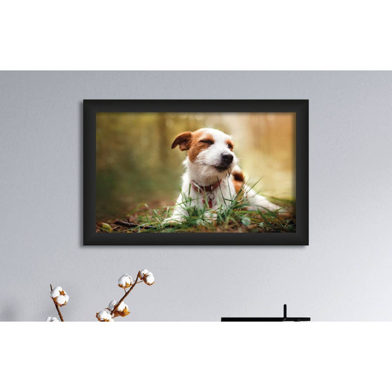 Cuadro Decorativo Jack Russell 62.3 X 40cm Color Multicolor Armazón Negro