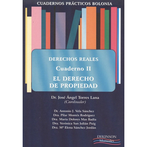 El Derecho De Propiedad, De Vários Autores. Editorial Dykinson, Tapa Blanda, Edición 1 En Español, 2010