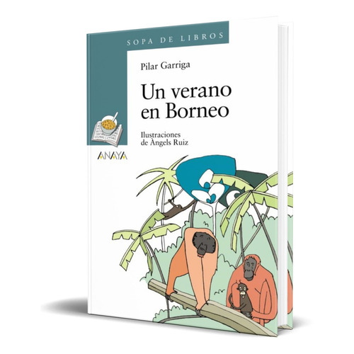 UN VERANO EN BORNEO, de PILAR GARRIGA. Editorial ANAYA, tapa blanda en español, 2009