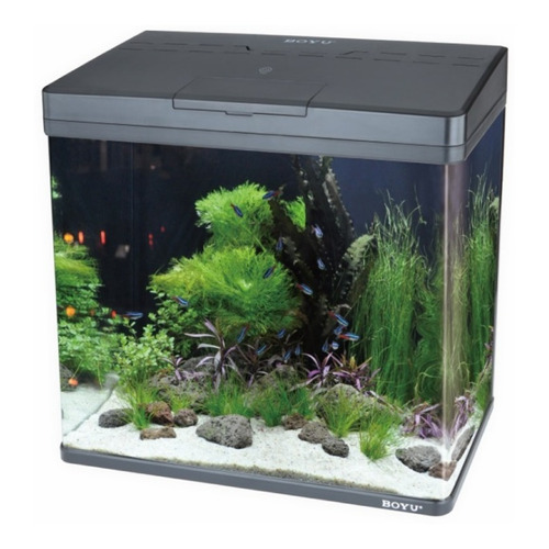 Acuario Boyu Ms320 20lts Leds 32x21x40 Negro Peces Pecera