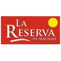 development-logo