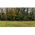 Parcela 5.000m2 | Sector Puquereo | Eje Freire-villarrica