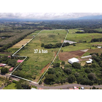 Finca En Venta, Alajuela, Atenas