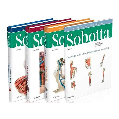 Sobotta Atlas De Anatomía Humana 3 Vols. 24 Ed./2018 Envíos 
