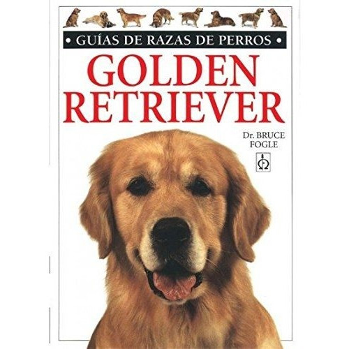 Golden Retrevier