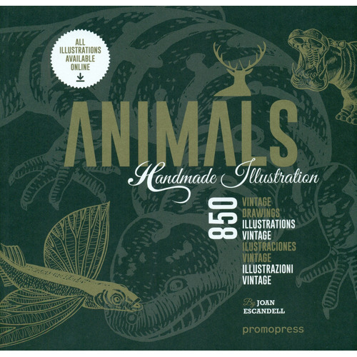 Animals Handmade Illustration, De Escandell, Joan. Editorial Promopress, Tapa Blanda, Edición 1 En Inglés, 2016