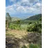 Hermosa Finca Agrícola En Ilo Alto,  La Vega  Sasaima