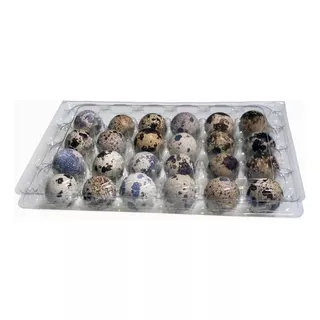 Pack 100 Cajas Bandejas De Plástico De 24 Huevos De Codorniz