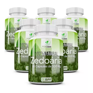 Zedoária 100% Natural Cáps 500mg 6 Frascos Açafrão-da-índia